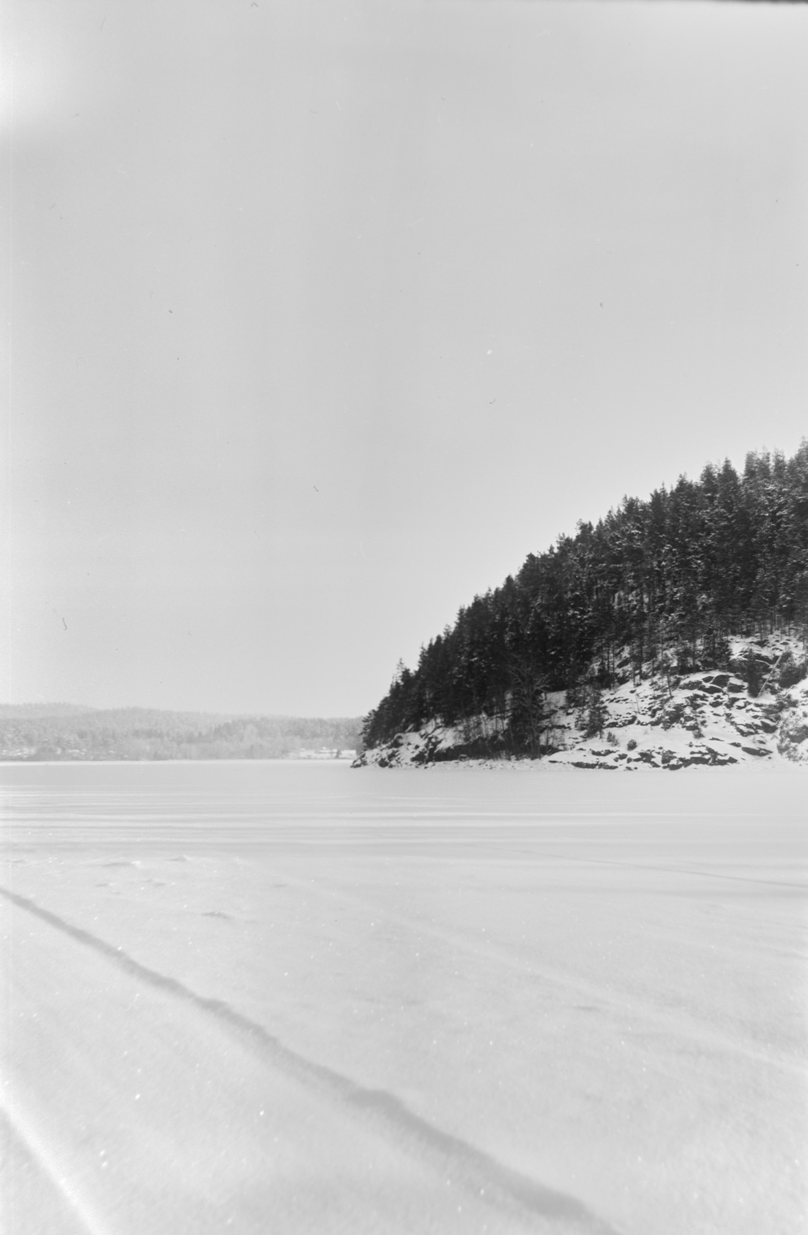 Портрет на плёнку 6×9, кадр 1