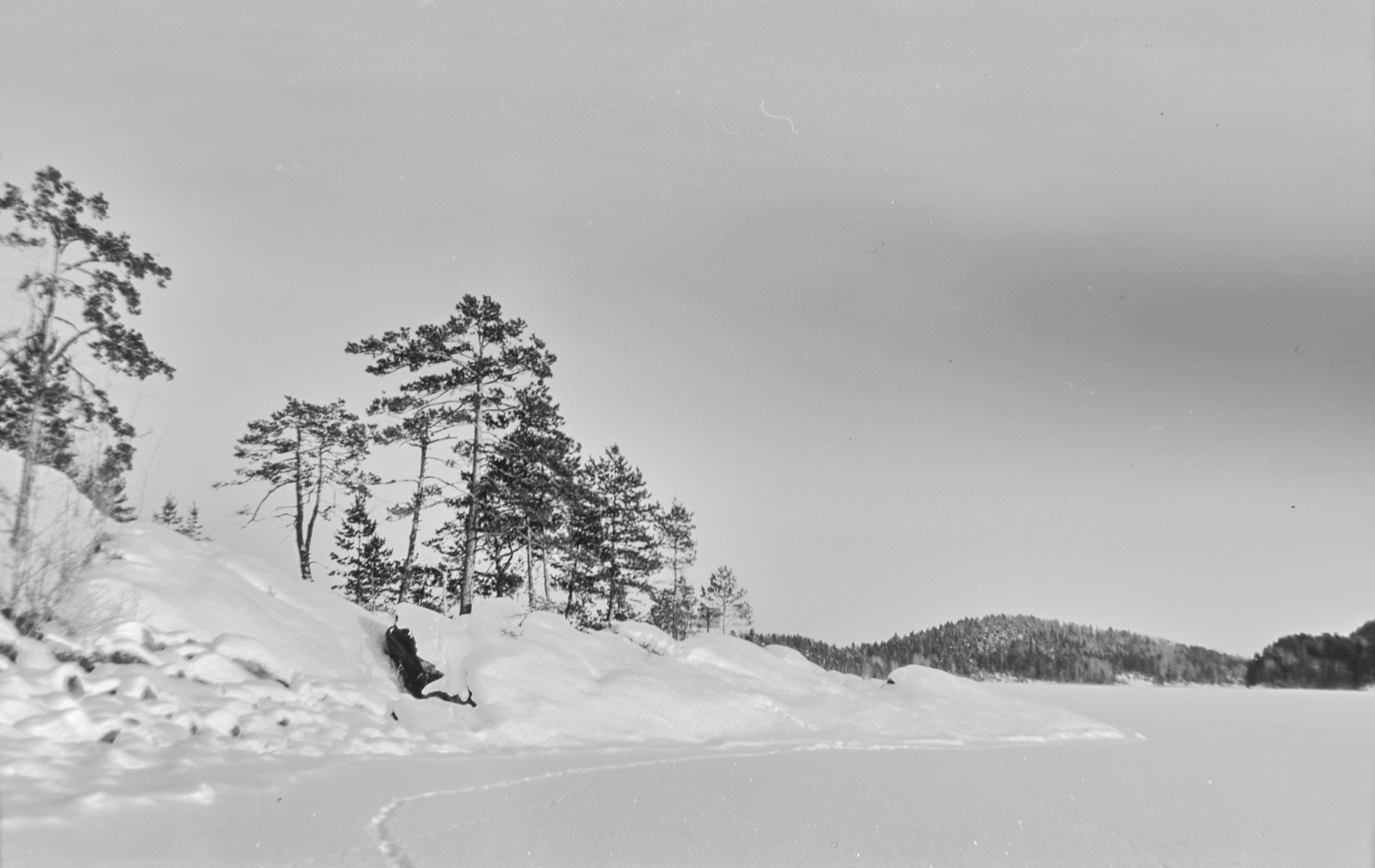 Портрет на плёнку 6×9, кадр 2