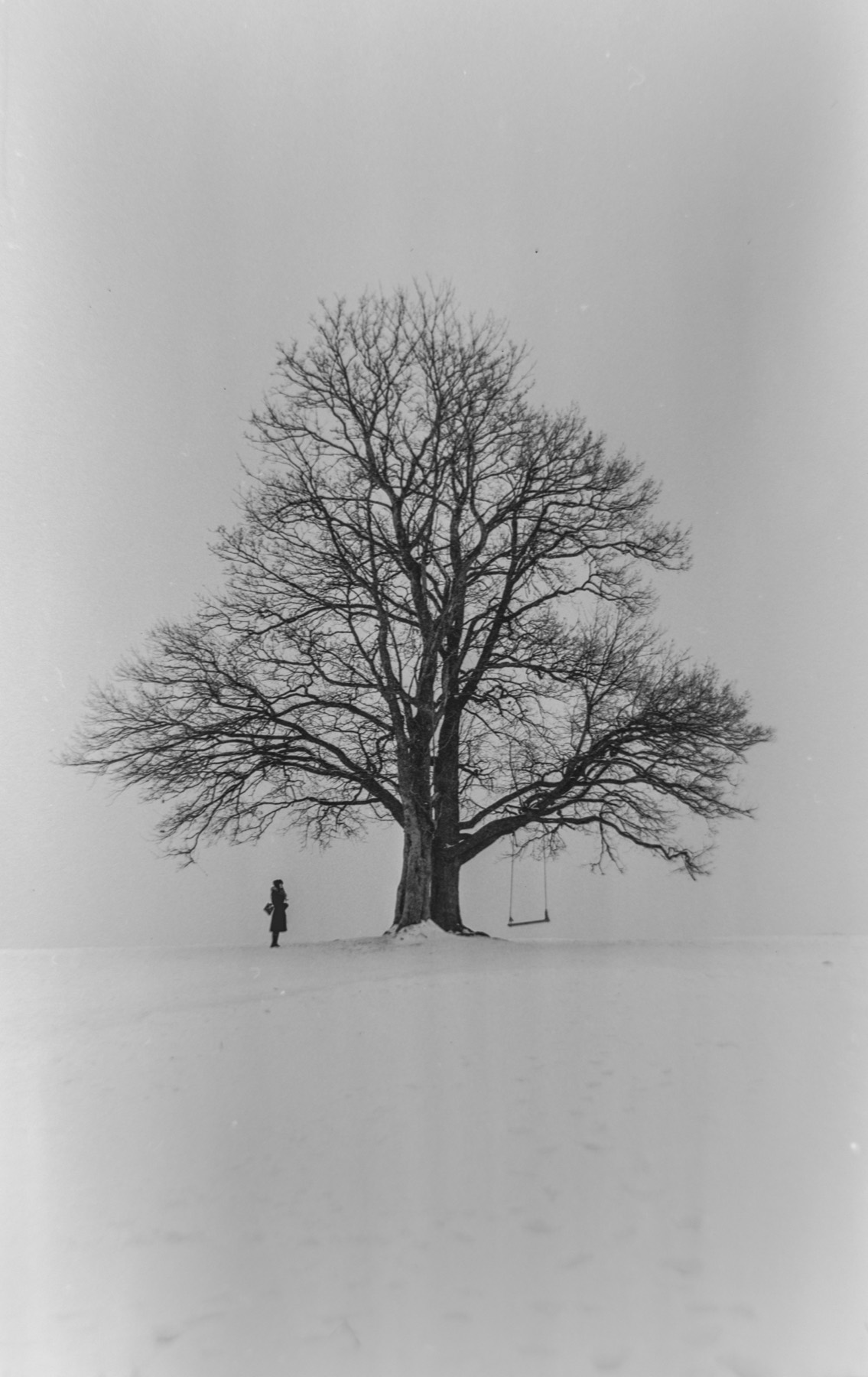 Портрет на плёнку 6×9, кадр 12